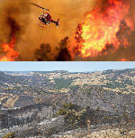 RACCOLTA FONDI PER LA POPOLAZIONE COLPITA DALL'INCENDIO DEL 28 E 29 LUGLIO A SINISCOLA